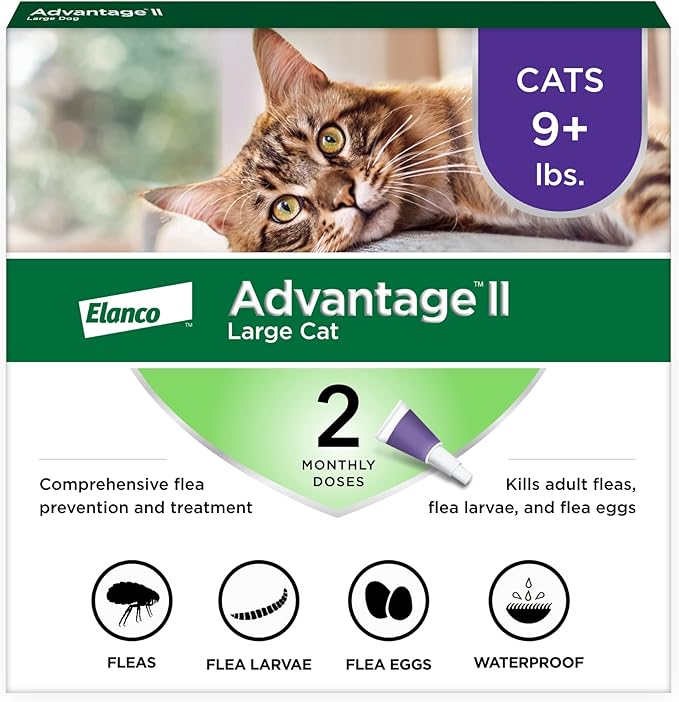 2 pack flea protection advantage large cat