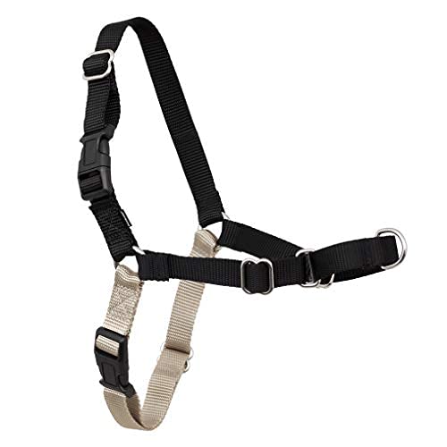 PetSafe Easy Walk No-Pull Dog Harness - The Ultimate Harness to Help Stop Pulling - Take Control & Teach Better Leash Manners - Helps Prevent Pets Pulling on Walks, Petite/Small, Black/Silver