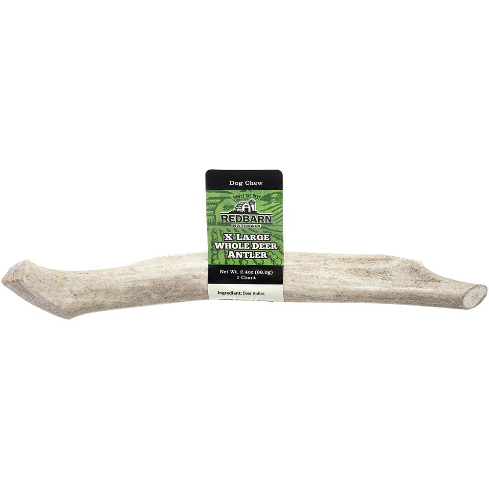 Redbarn Whole Deer Antler X-Large for Dogs