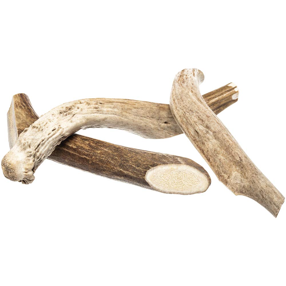 Redbarn Whole Deer Antler X-Large for Dogs