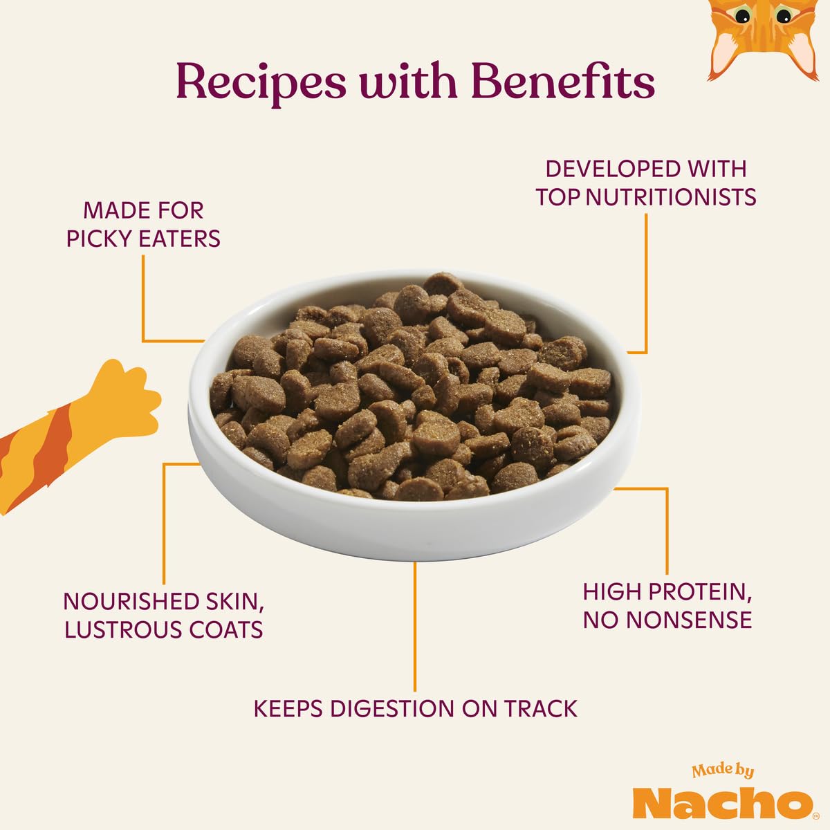 Made by Nacho Bone Broth Infused Dry Cat Kibble - Sustainably Caught Salmon and Pumpkin - Premium Grain-Friendly Cat Food 4lb Bag, Limited Ingredients