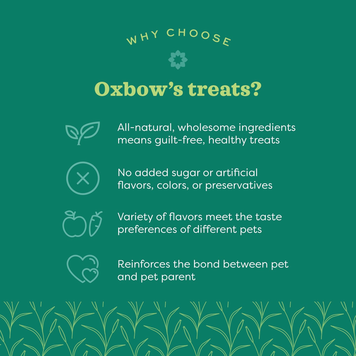 Oxbow Simple Rewards Baked Treats with Apples and Baas for Rabbits, Guinea Pigs, Chinchillas, and Small Pets 3 Ounce (Pack of 1)