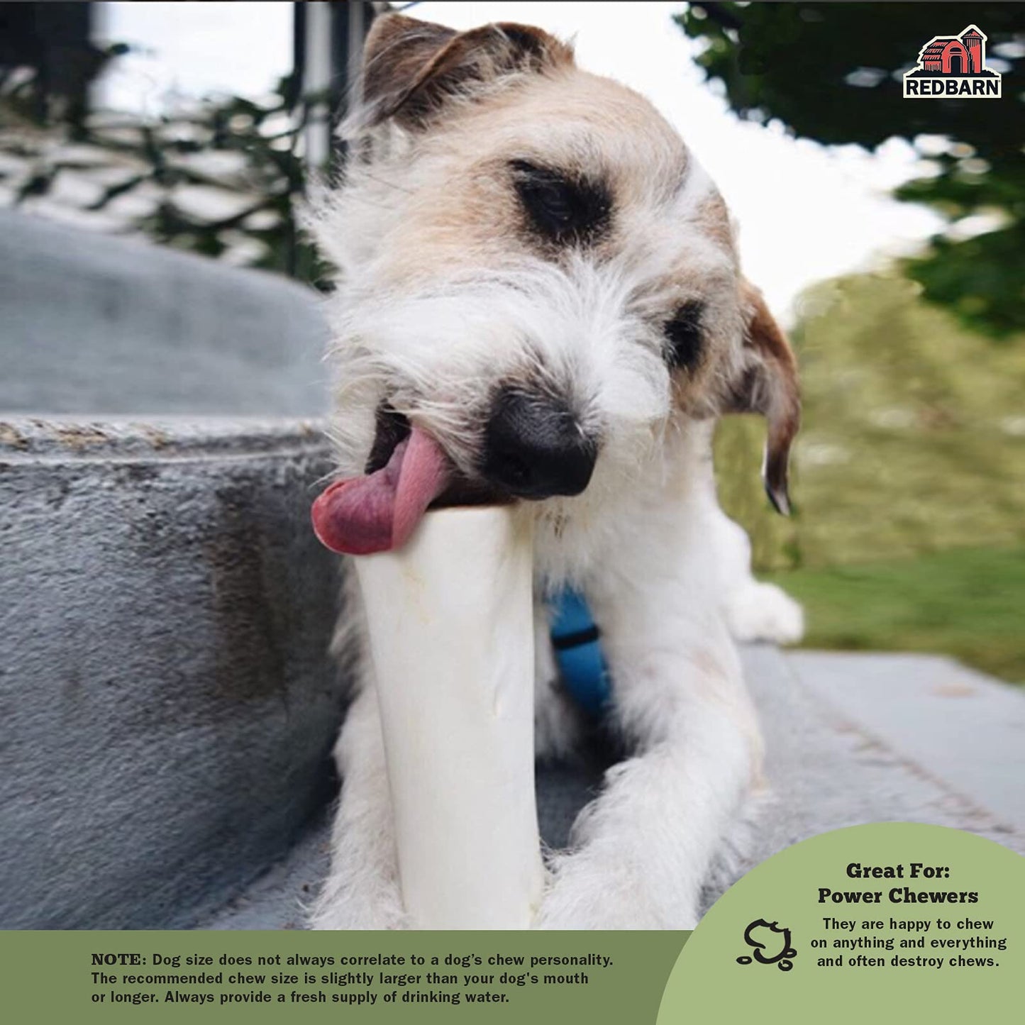 Redbarn White Bone for Dogs, Large 1-Count