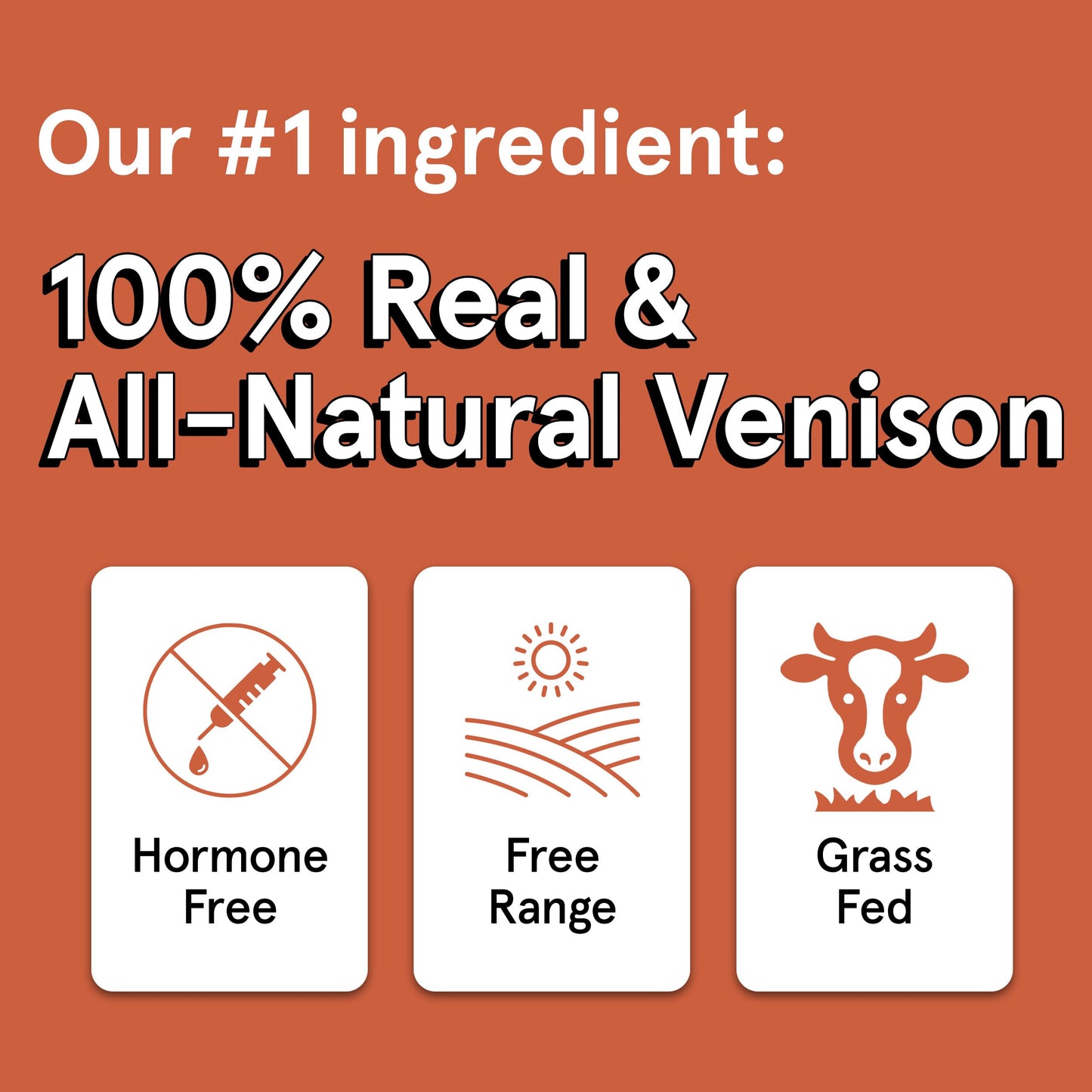 Real Meat Dog Treats - 4oz Bag of Bite-Sized Air-Dried Venison Jerky for Dogs - Grain-Free Jerky Dog Treats Made up of 95% Human-Grade, Free-Range, Grass Fed Venison - Natural High Protein Dog Treats