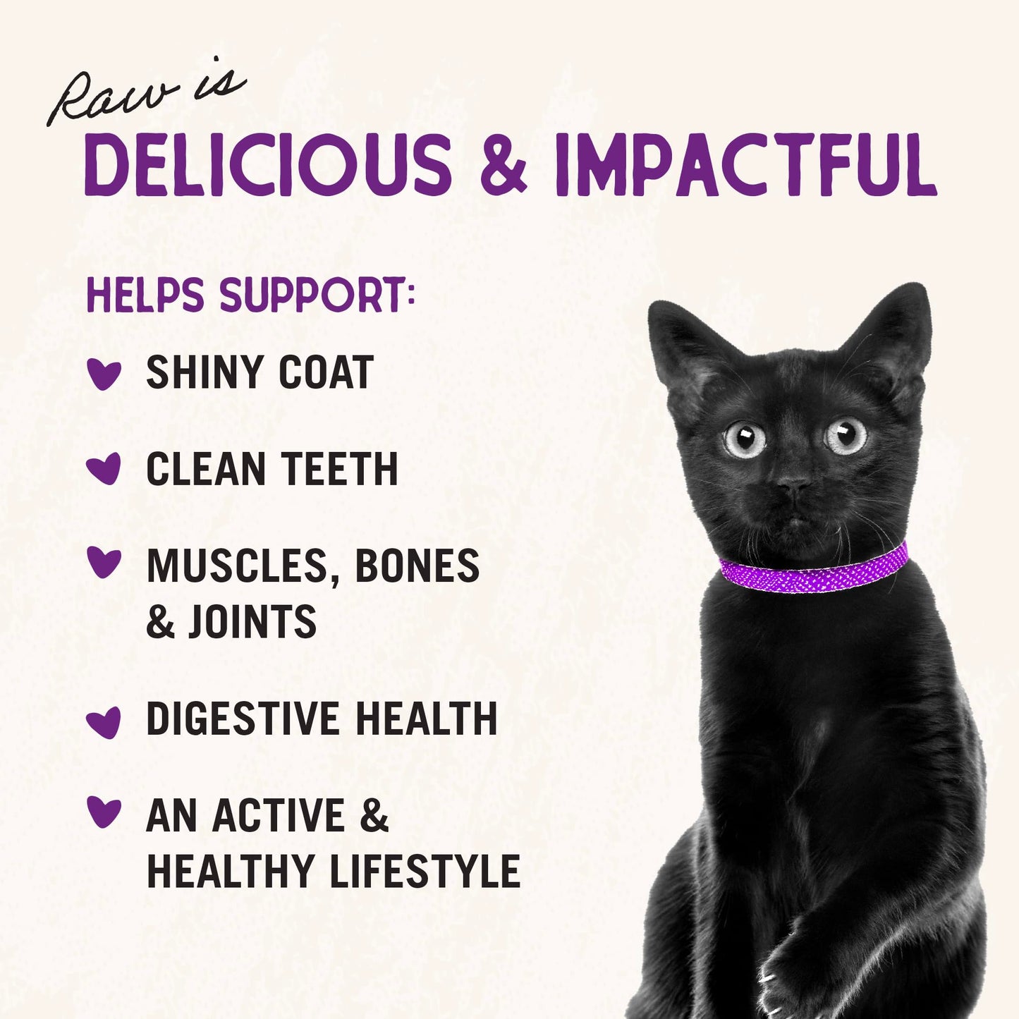 Stella & Chewy's Freeze-Dried Raw Cat Dinner Morsels – Grain Free, Protein Rich Cat & Kitten Food – Yummy Lickin’ Salmon & Chicken Recipe – 3.5 oz Bag