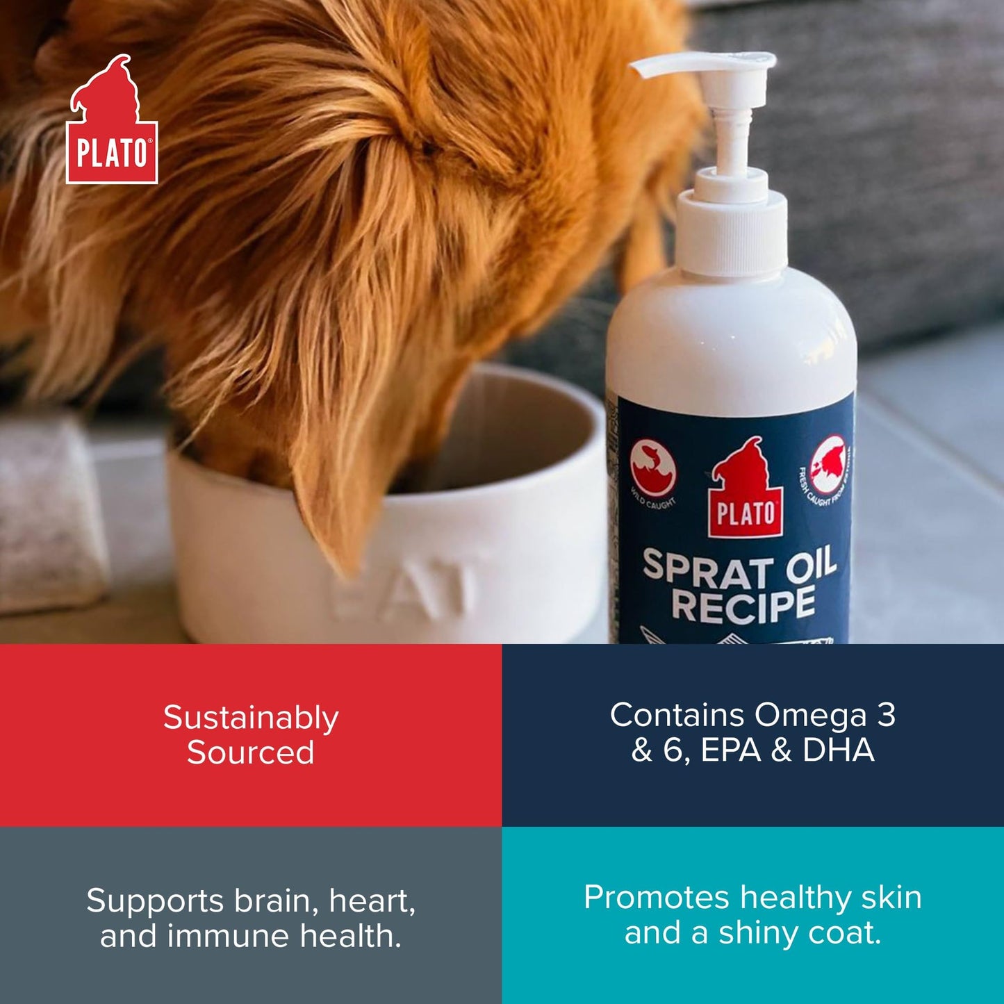 PLATO Pet Treats Fish Oil for Dogs - Omega 3 Oil for Dogs - Supports Healthy Skin and Coat - Baltic Sprat Oil Recipe 8oz
