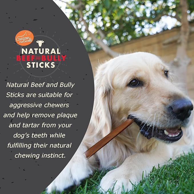 Canine naturals beef collagen bully stick small 5-6in dog treat