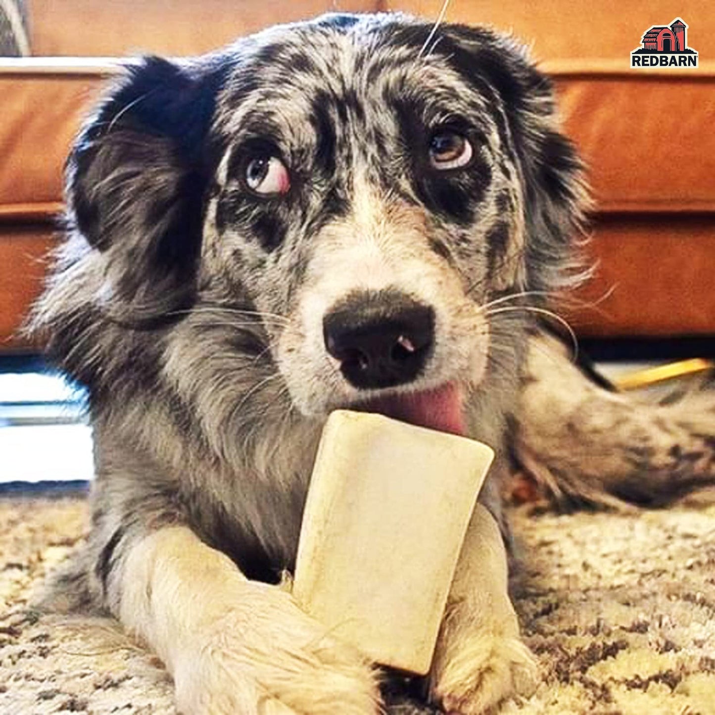 Redbarn Filled Dog Bones, Natural Long-Lasting Dental Treats; Suitable for Aggressive Chewers, Small (3") - 10 Bones (Cheese N' Bacon)