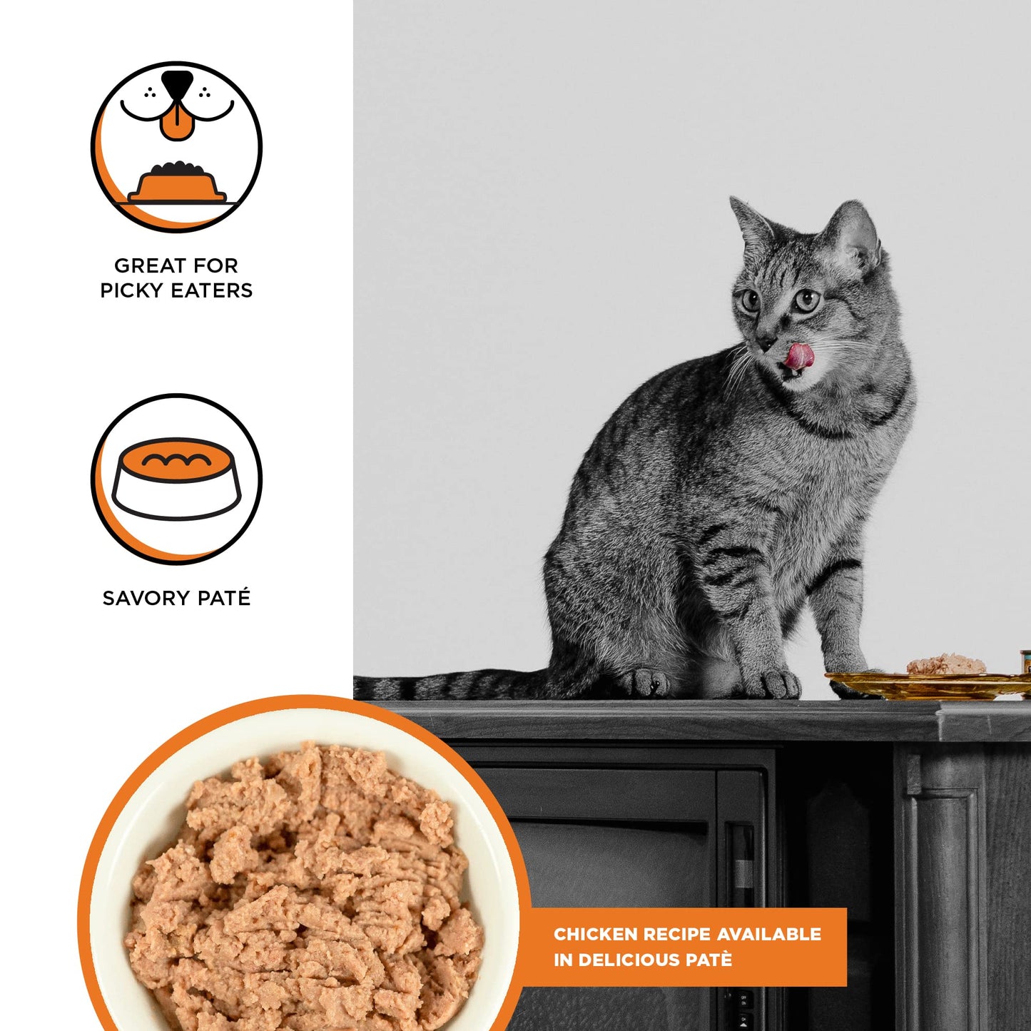 BIXBI Rawbble Chicken Pate Recipe Cans – Grain Free, Protein Rich Wet Cat Food – (2.75 Ounce Cans)