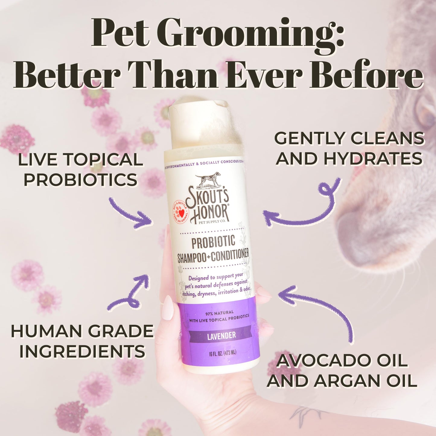 Skout's Honor Probiotic Pet Shampoo & Conditioner with Avocado Oil & Omega-3s, 97% Natural, Paraben & Sulfate-Free, Cruelty-Free, 16oz, Lavender