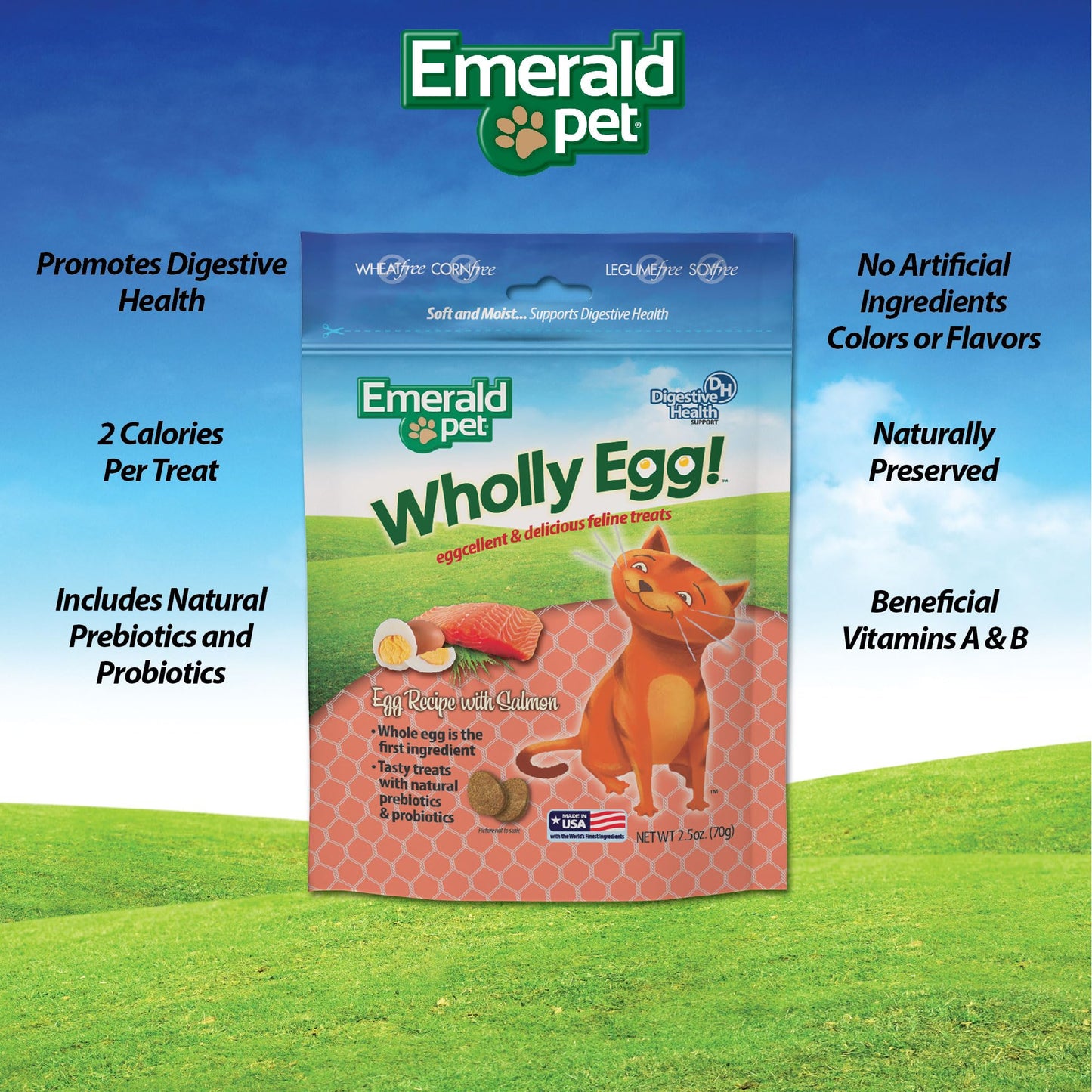 Emerald Pet Wholly Egg Digestive Health Cat Treats - Soft and Moist cat Treats for Healthy Digestion - Natural Prebiotics and Probiotics for cat Digestion - Salmon Treats, 2.5 oz