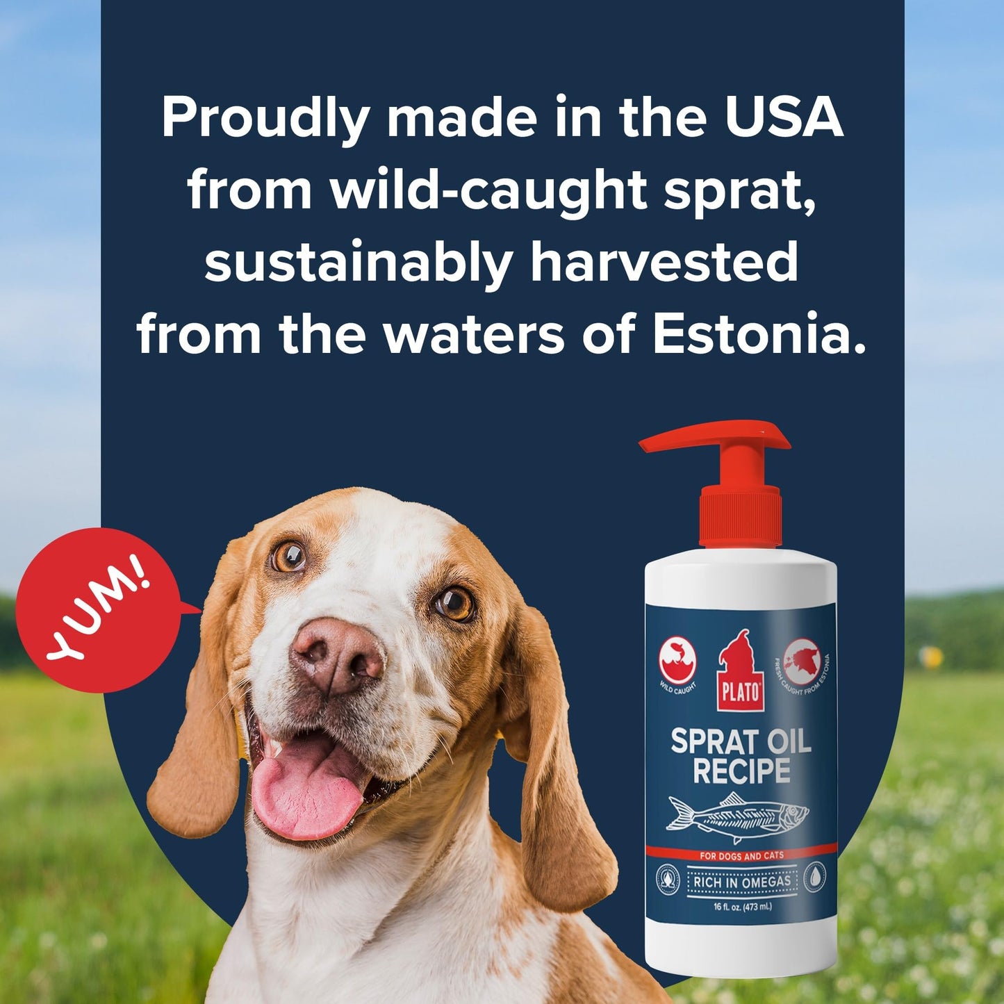 PLATO Pet Treats Fish Oil for Dogs - Omega 3 Oil for Dogs - Supports Healthy Skin and Coat - Baltic Sprat Oil Recipe 8oz