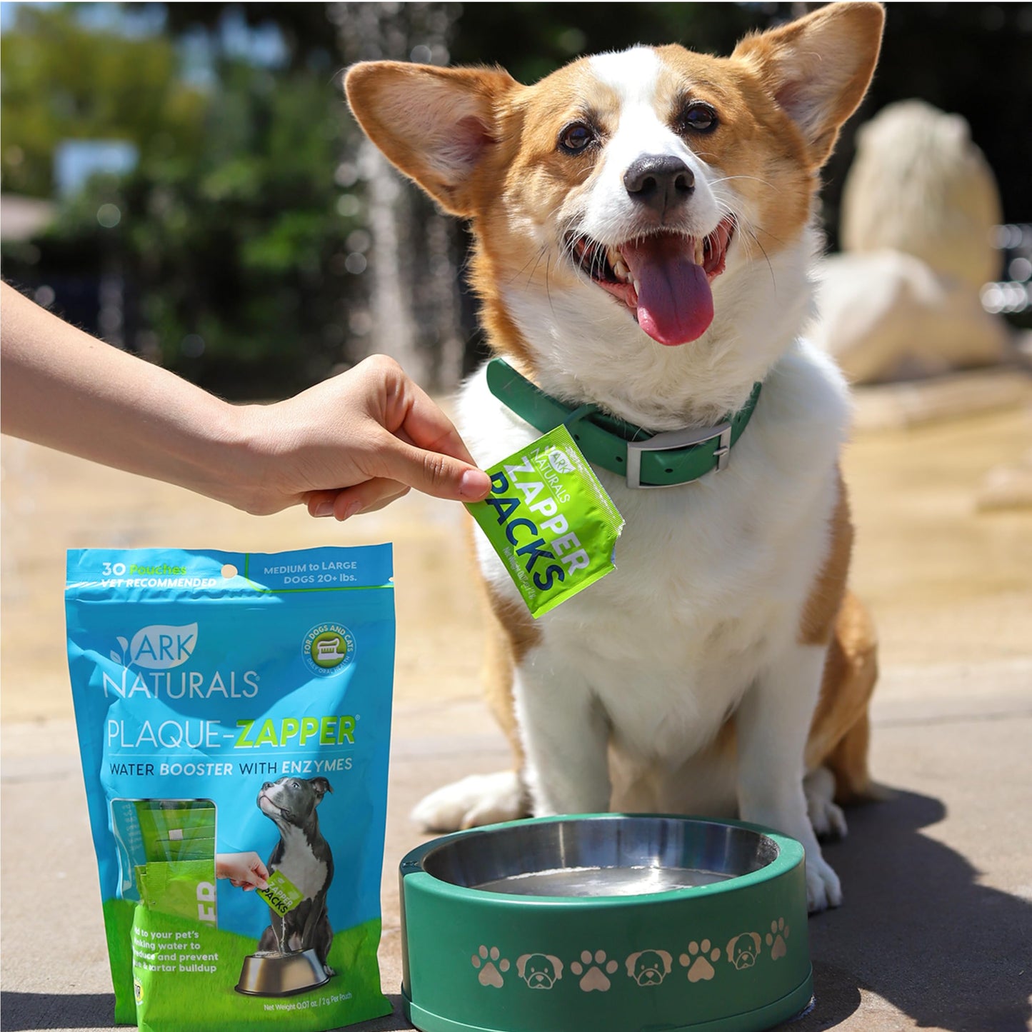 Ark Naturals Plaque Zapper, Tasteless Water Fizzy for Cats and Dogs, Reduces Bad Breath, Plaque and Tartar, Medium & Large Bowls