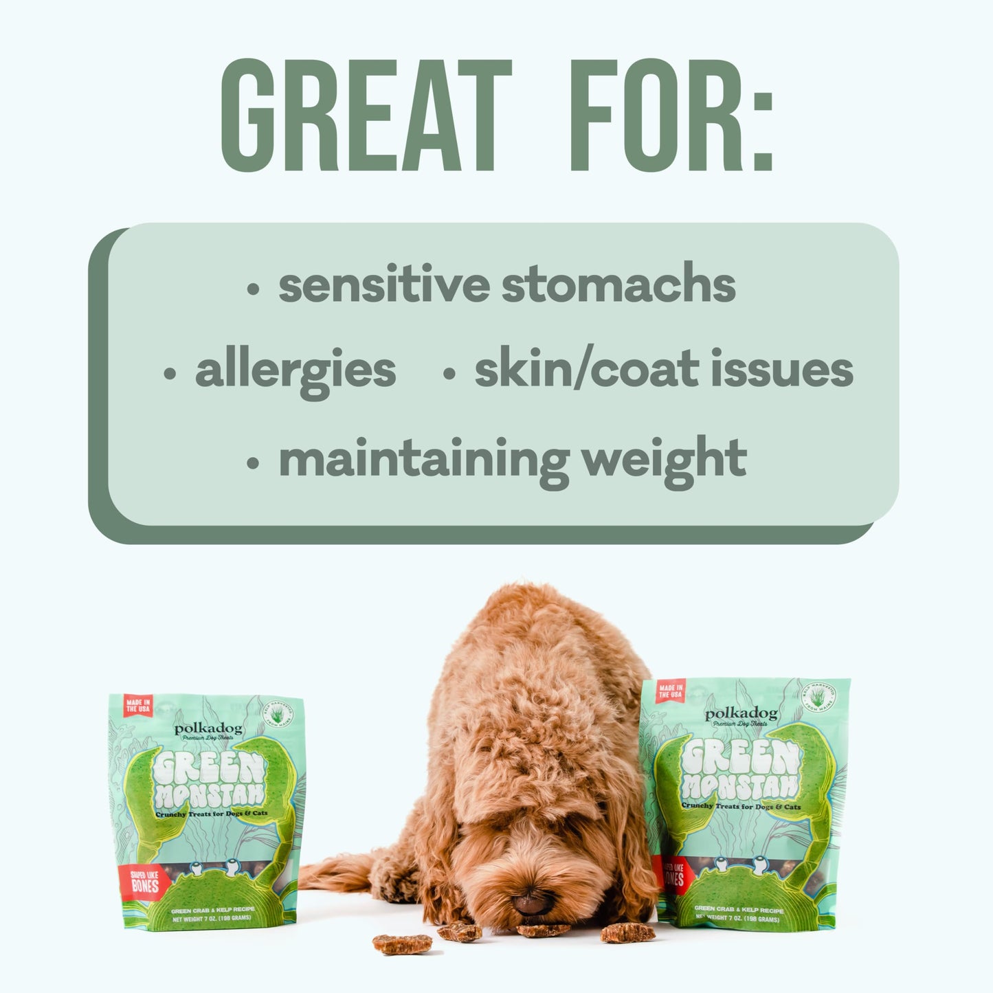 Polkadog Green Monstah Bones Crunchy Treats - Dog Treat for Small & Large Dogs with Vitamin-Rich Kelp, Omega-3, Protein - New England Green Crab & Kelp Blend - Training Size