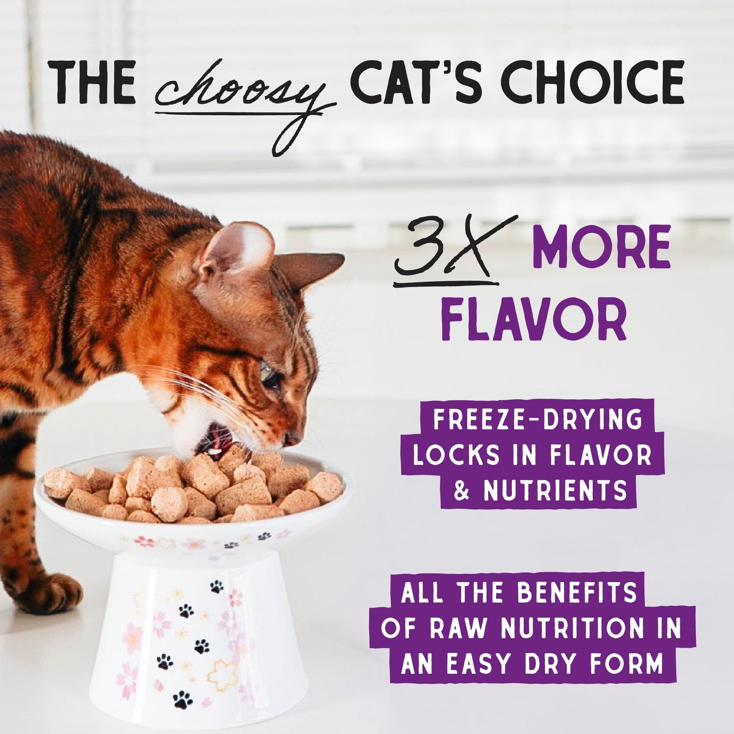 Stella & Chewy's Freeze-Dried Raw Cat Dinner Morsels – Grain Free, Protein Rich Cat & Kitten Food – Chick Chick Chicken Recipe – 3.5 oz Bag