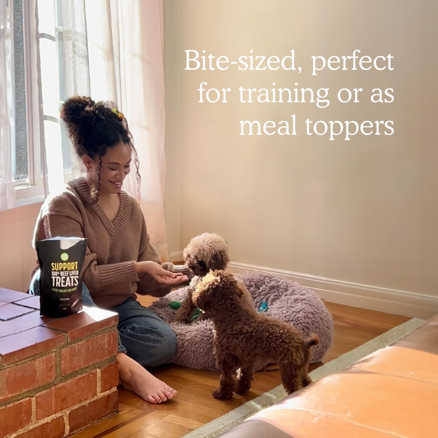 Get Joy Freeze Dried Superfood 100% Beef Liver Dog Treats, 4 Ounce Bag, Single Ingredient Organ Meat, High Protein, Vision, Skin & Coat Health, Muscle Repair, Grain Free, Gluten Free, Made in USA