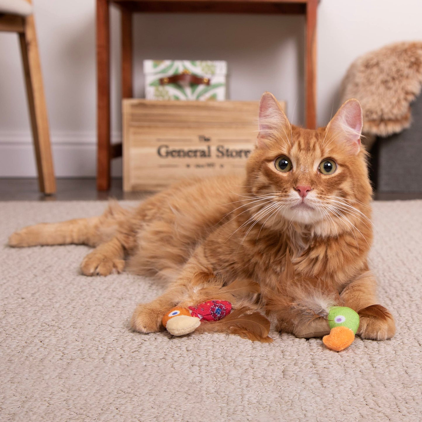 SmartyKat Instincts HappyNip Love Mates Feather Birds Plush Cat Toys, Contains Catnip & Silvervine - Orange/Green