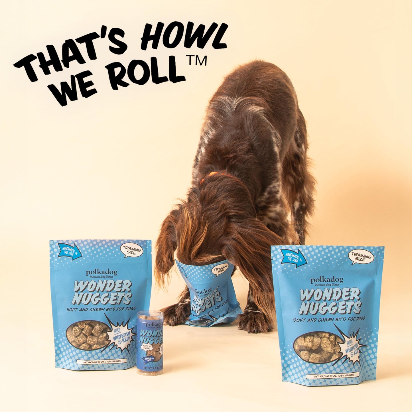 Polkadog Whitefish & Kelp Wonder Nuggets Dog Treats – All-Natural Pet Training Treats for Dogs – Healthy, Handmade Puppy Snacks – Bite-Sized, Soft, Chewy Treats for Pets – 10 oz