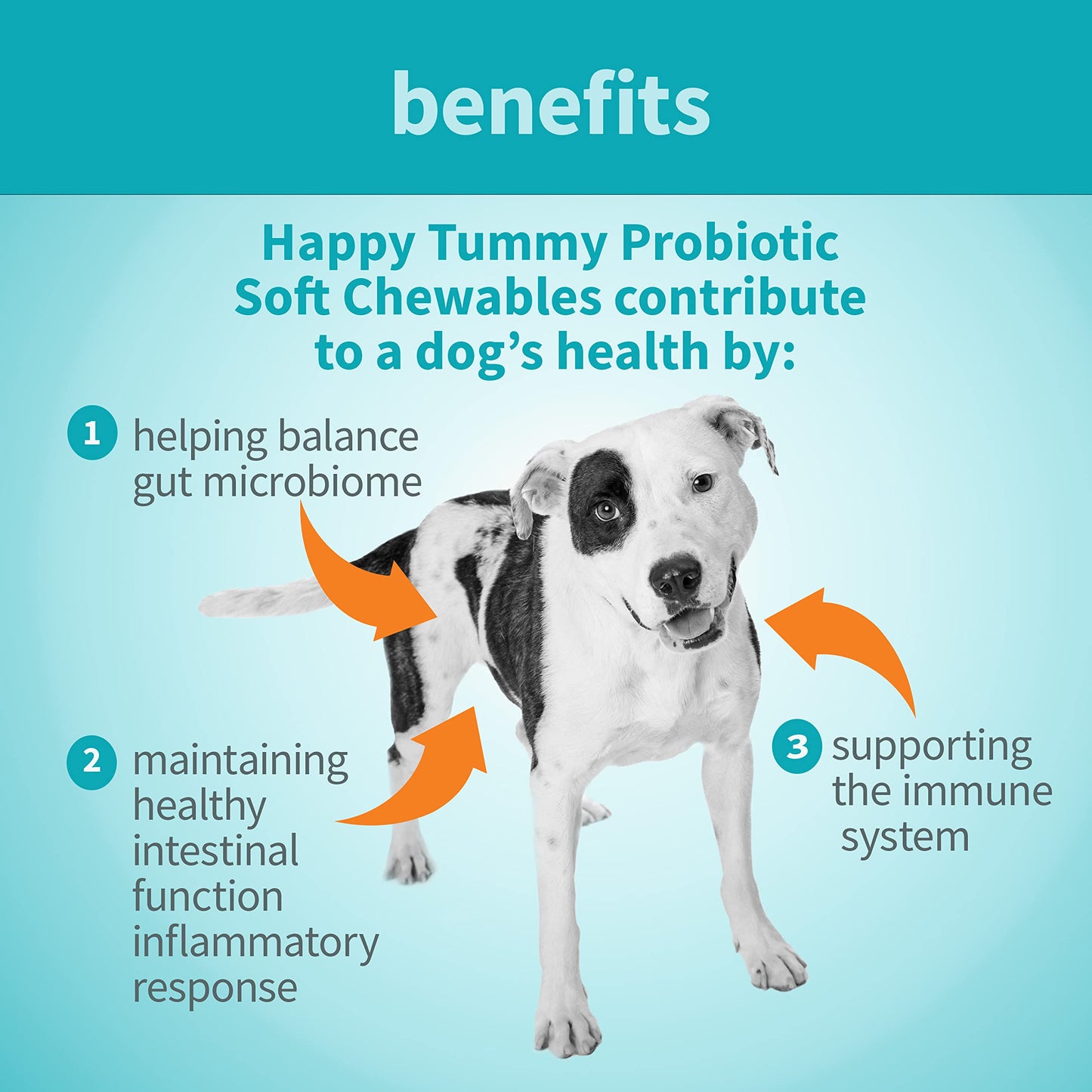 Treatibles Happy Tummy Probiotic for Dogs Soft Chewables, 5.3 oz - Digestive Support, Immune System, Gut Health