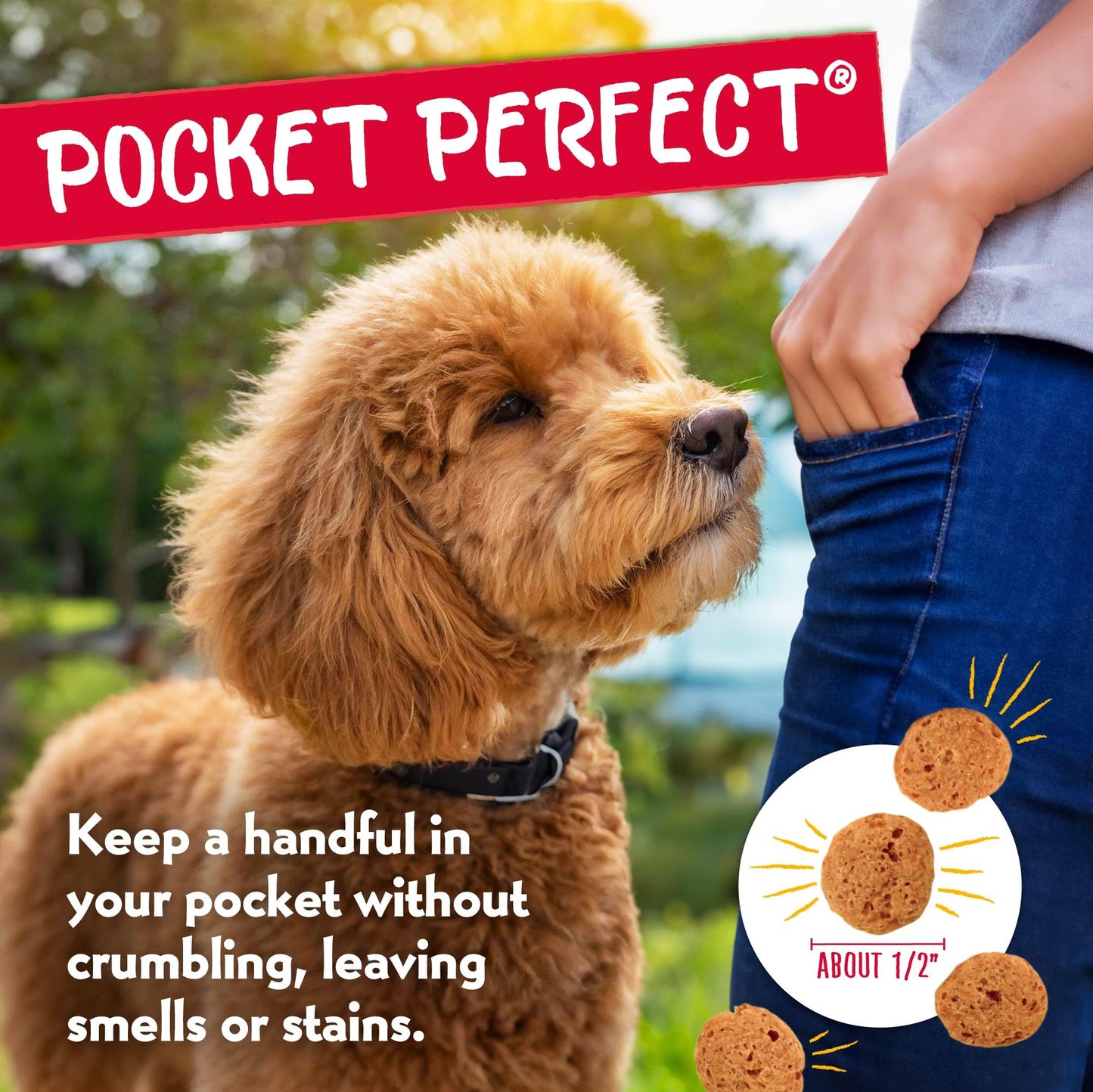 Charlee Bear Original Crunch with Liver Dog Treats, 6 oz - Made in the USA Natural Training Treats for Dogs