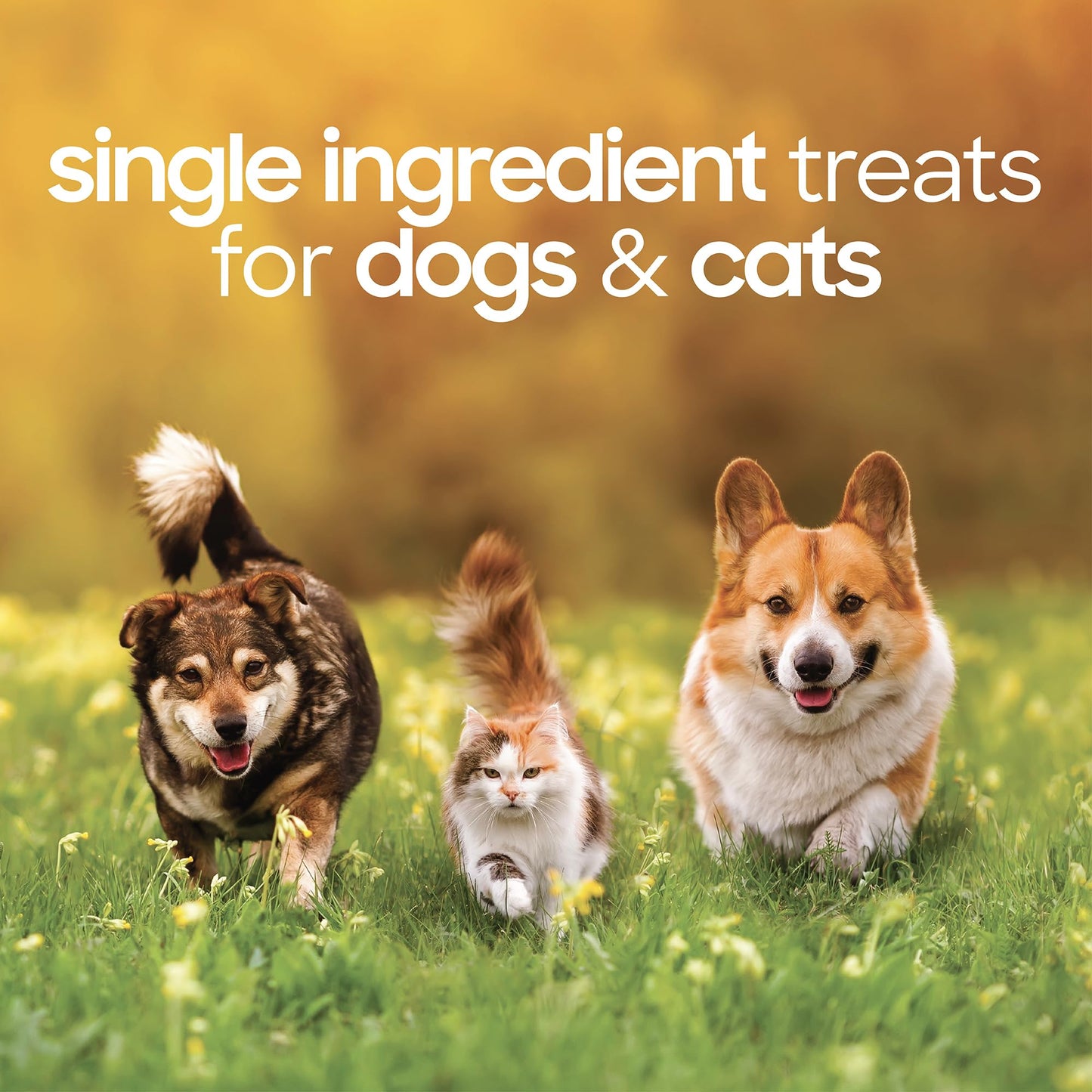 smallbatch Pets Premium Freeze-Dried Turkey Heart Treats for Dogs and Cats, 3.5 oz, Made and Sourced in The USA, Single Ingredient, Humanely Raise Meat, No Preservatives or Anything Artificial Ever
