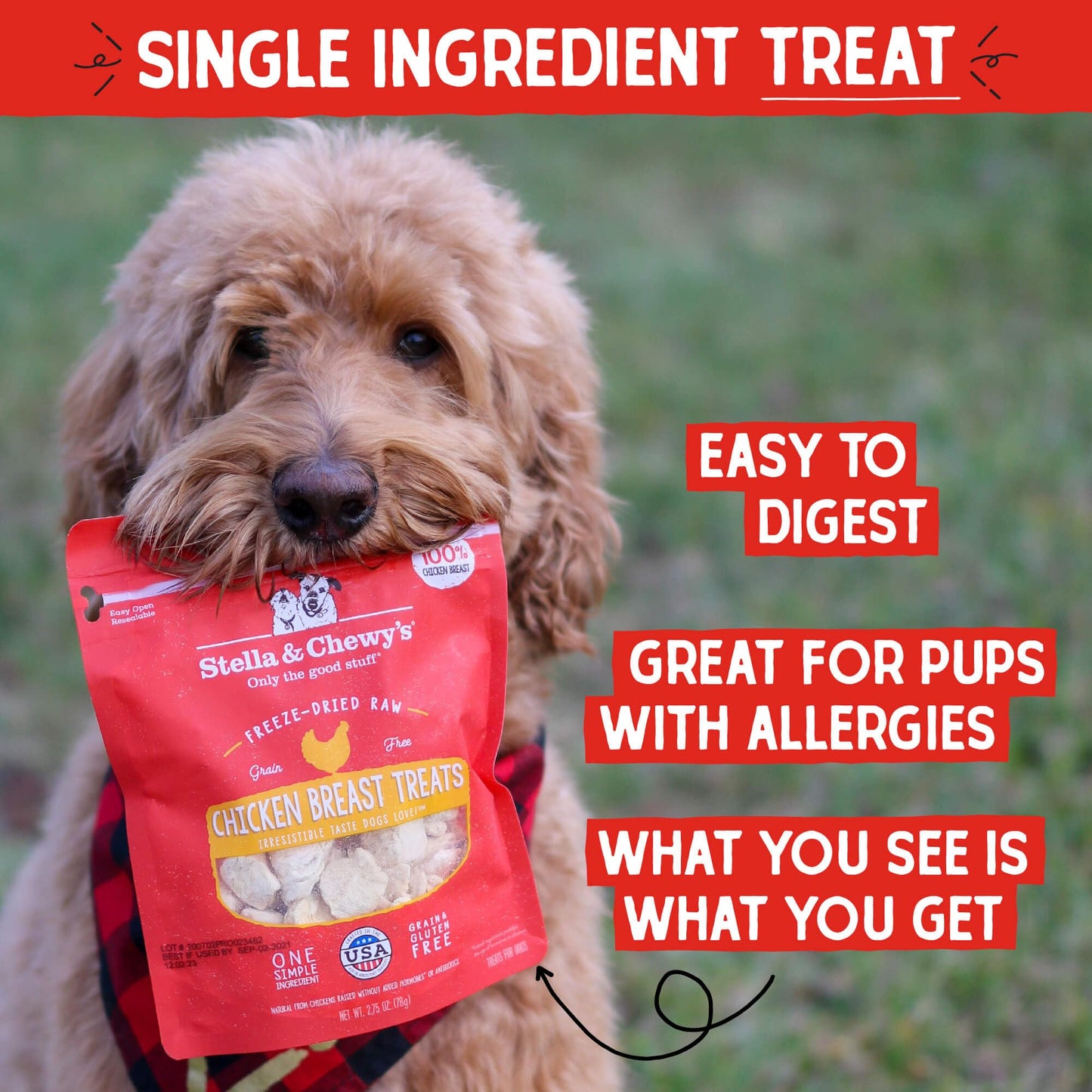 Stella & Chewy's Freeze-Dried Raw Single Ingredient Chicken Breast Treats, 2.75 oz. Bag