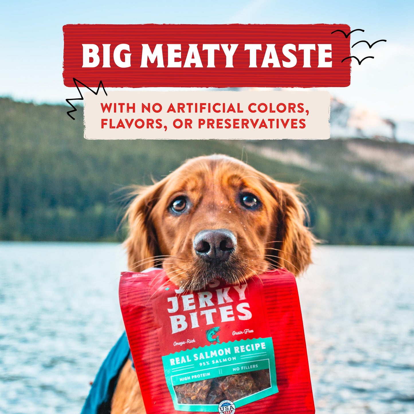 Stella & Chewy's Just Jerky Bites Real Chicken Recipe Dog Treats, 6 oz. Bag