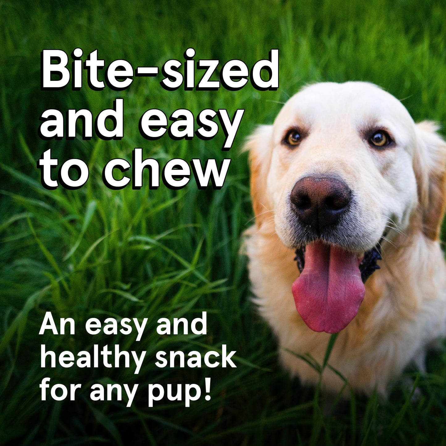 Real Meat Dog Treats - 4oz Bag of Bite-Sized Air-Dried Venison Jerky for Dogs - Grain-Free Jerky Dog Treats Made up of 95% Human-Grade, Free-Range, Grass Fed Venison - Natural High Protein Dog Treats
