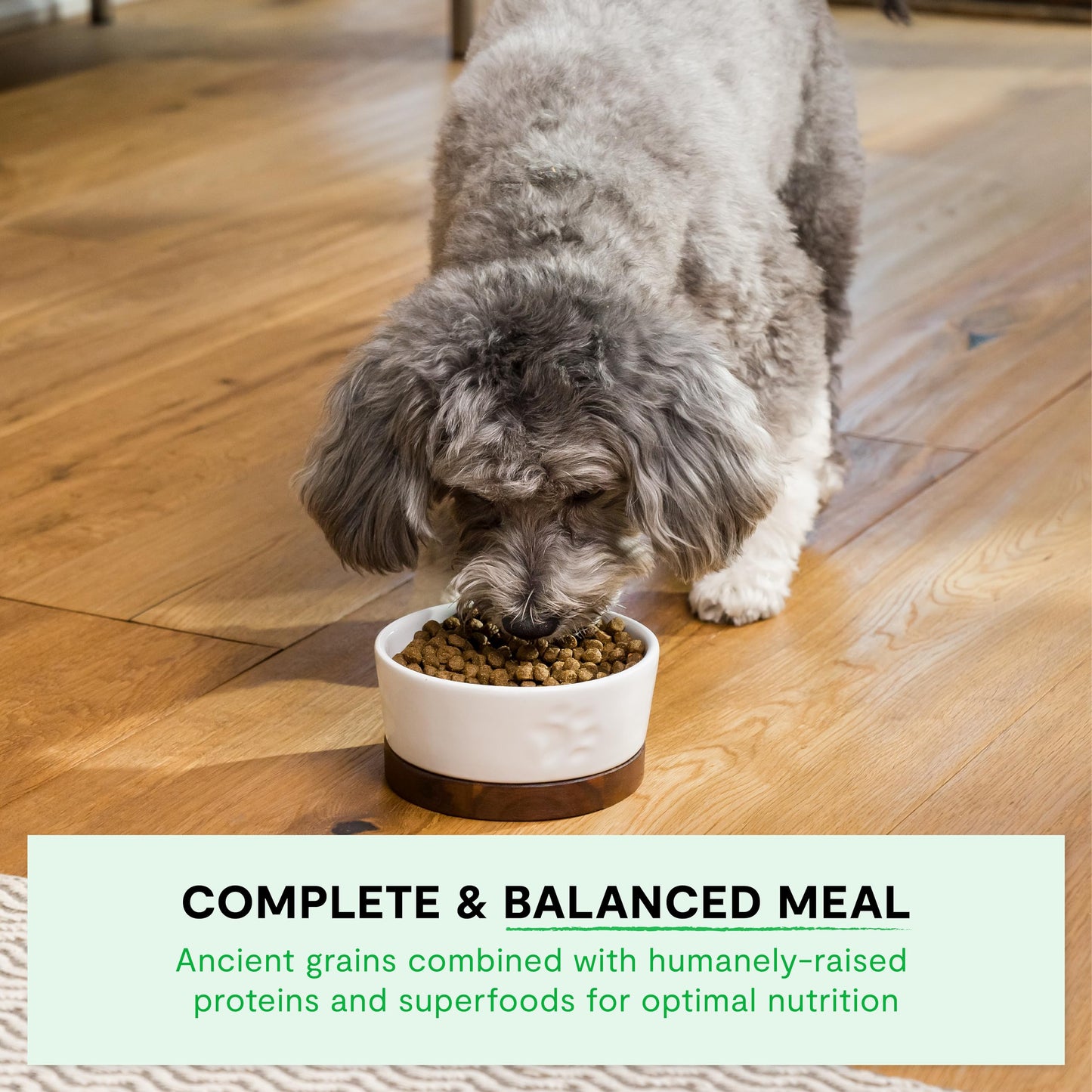 Open Farm, Ancient Grains Dry Dog Food For Small Breeds, Protein-Rich & Nutrient Dense, 90% Animal Protein With Non-GMO Fruits, Veggies and Superfoods, Chicken & Turkey Recipe For Small Dogs, 11lb Bag