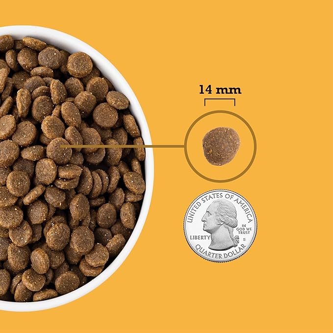 Acana free run poultry recipe 13lb