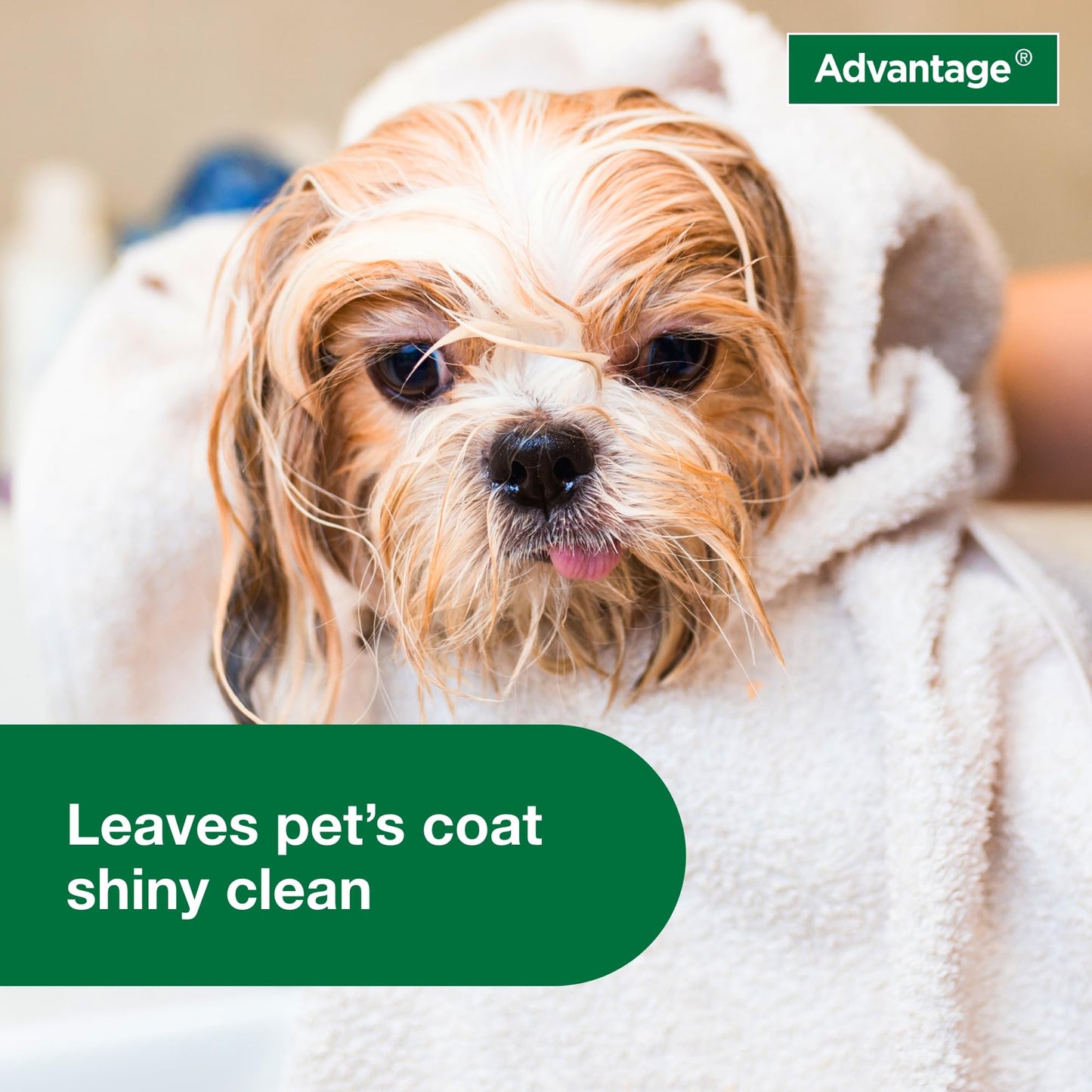 Advantage Dog Flea & Tick Shampoo For Puppies & Adult Dogs | Kills Fleas & Ticks | 8 Oz.