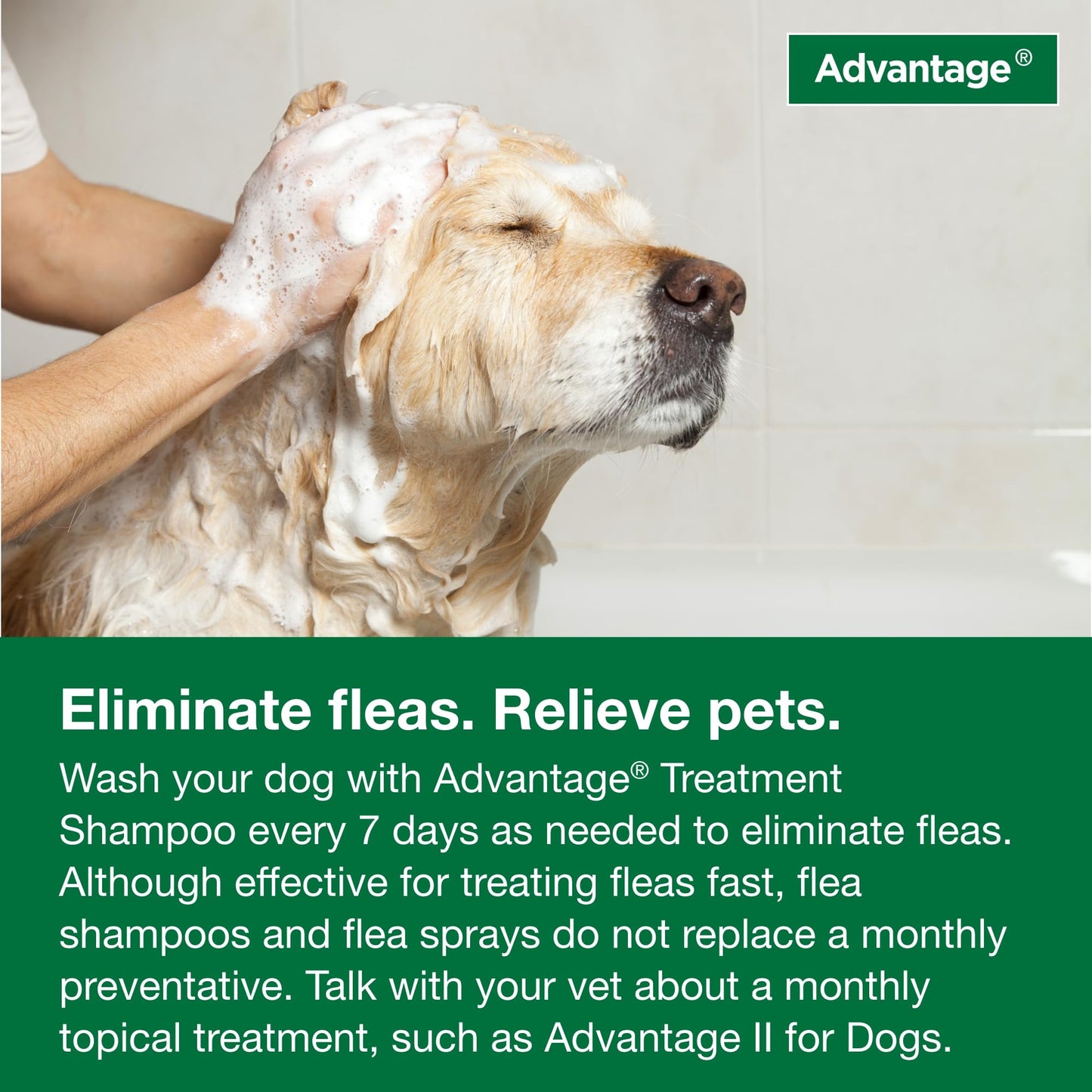 Advantage Dog Flea & Tick Shampoo For Puppies & Adult Dogs | Kills Fleas & Ticks | 8 Oz.