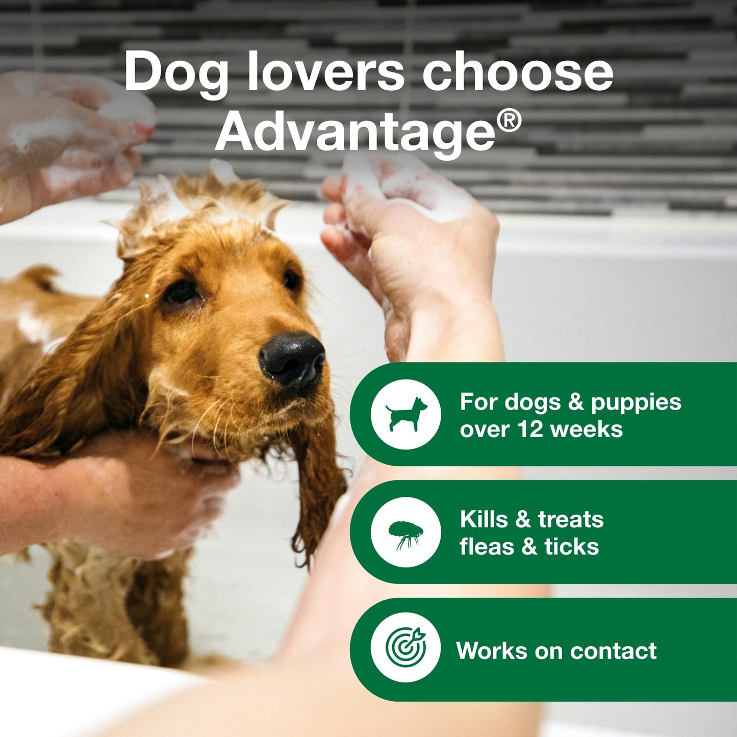 Advantage Dog Flea & Tick Shampoo For Puppies & Adult Dogs | Kills Fleas & Ticks | 8 Oz.