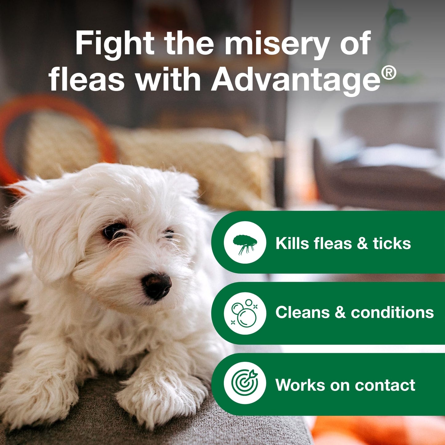 Advantage Dog Flea & Tick Shampoo For Puppies & Adult Dogs | Kills Fleas & Ticks | 8 Oz.