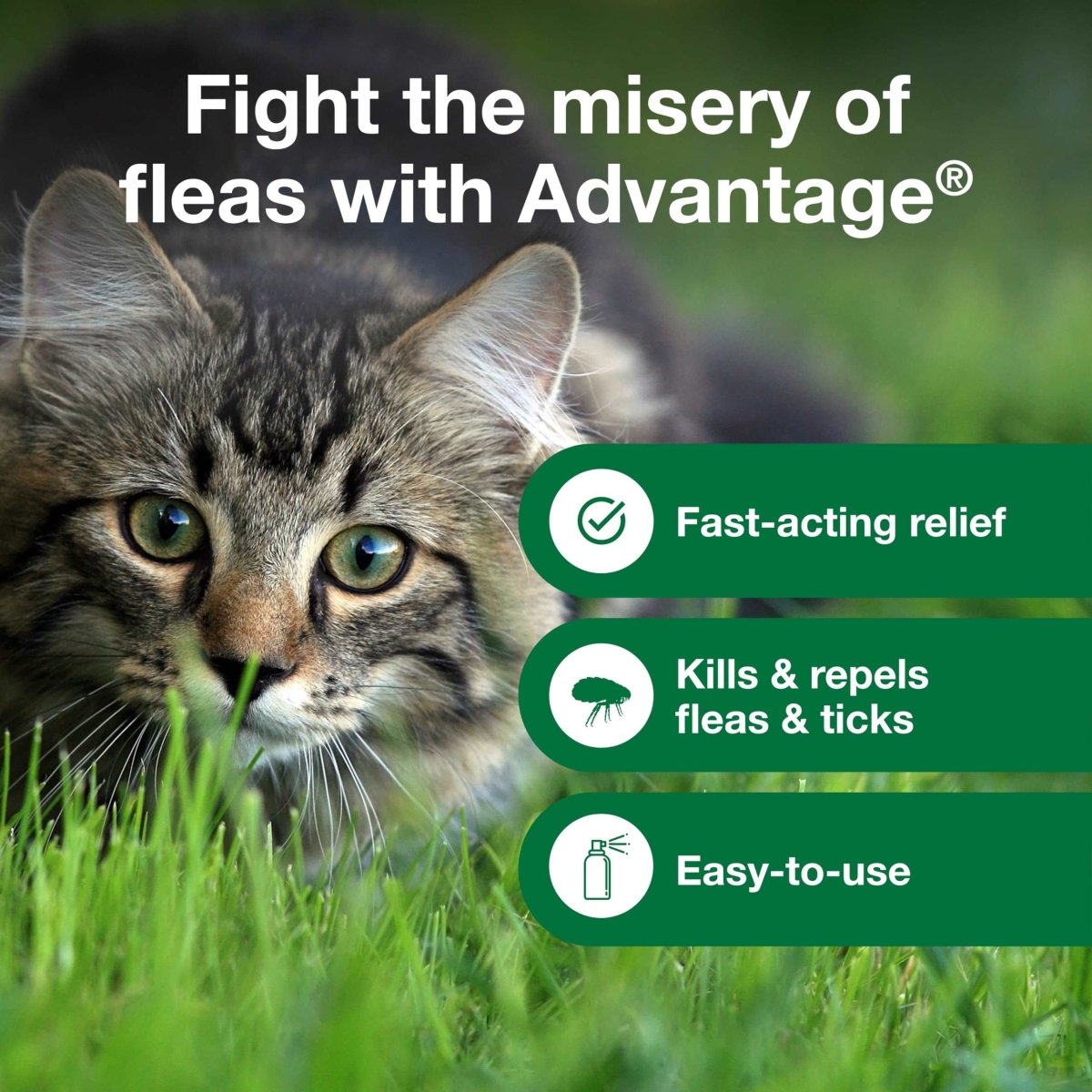 Advantage Flea and Tick Treatment Spray for Cats - 8 oz - 724089113450