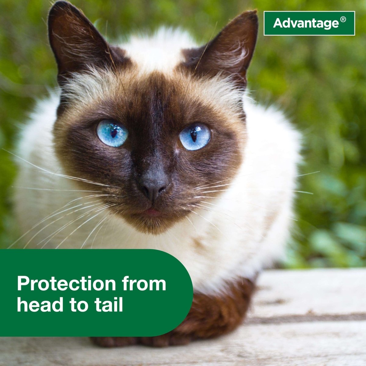 Advantage Flea and Tick Treatment Spray for Cats - 8 oz - 724089113450