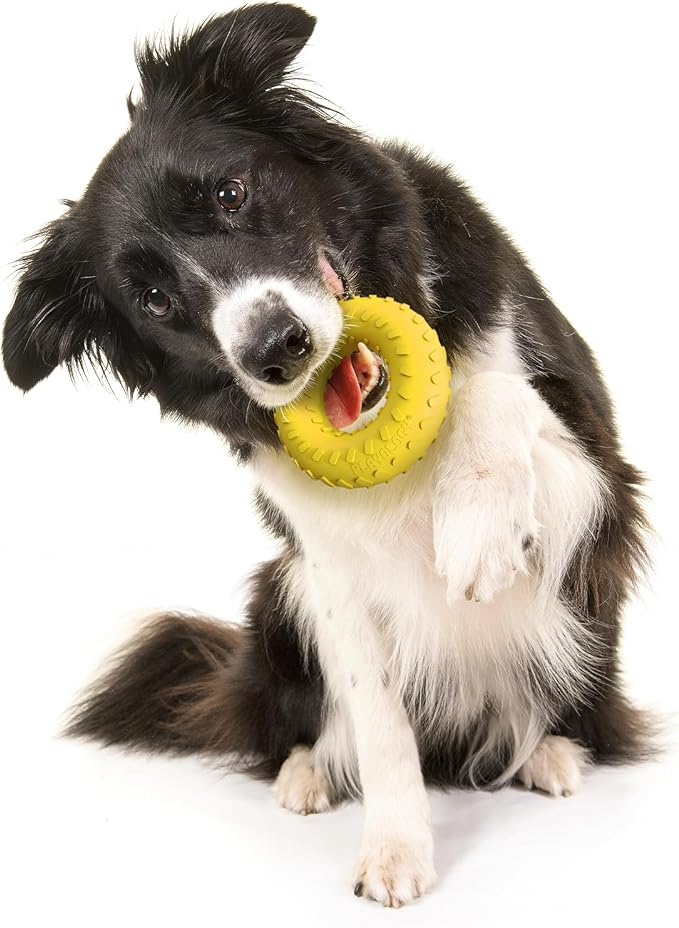 All natural chicken playology medium dog toy