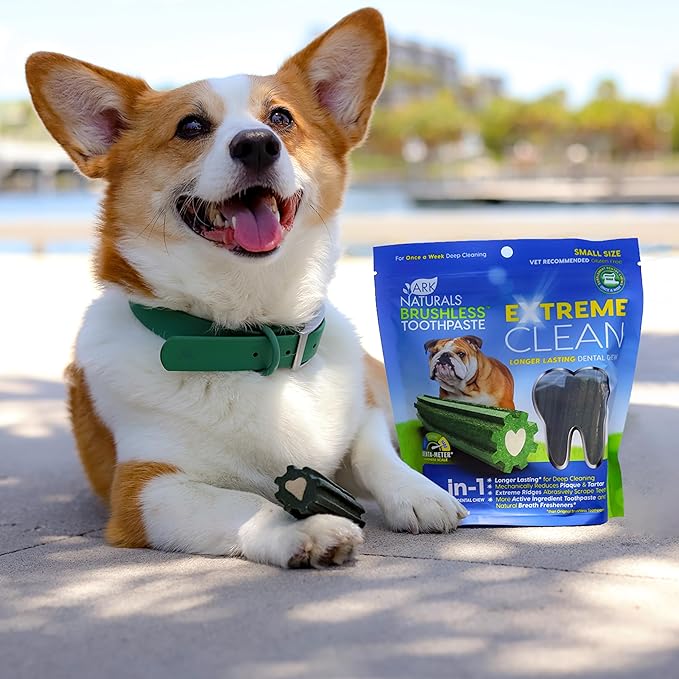 Ark naturals brushless toothpaste extreme clean 12oz small sized dog dental treats