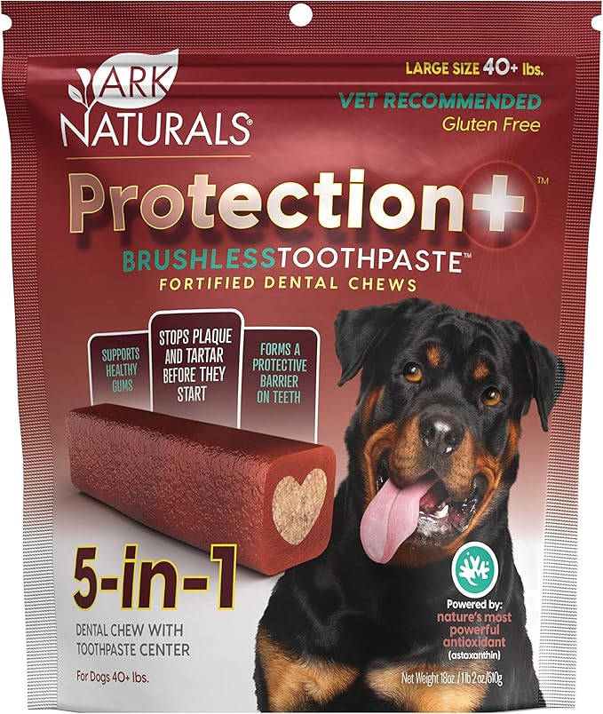 Ark naturals protection + brushless toothpaste large sized