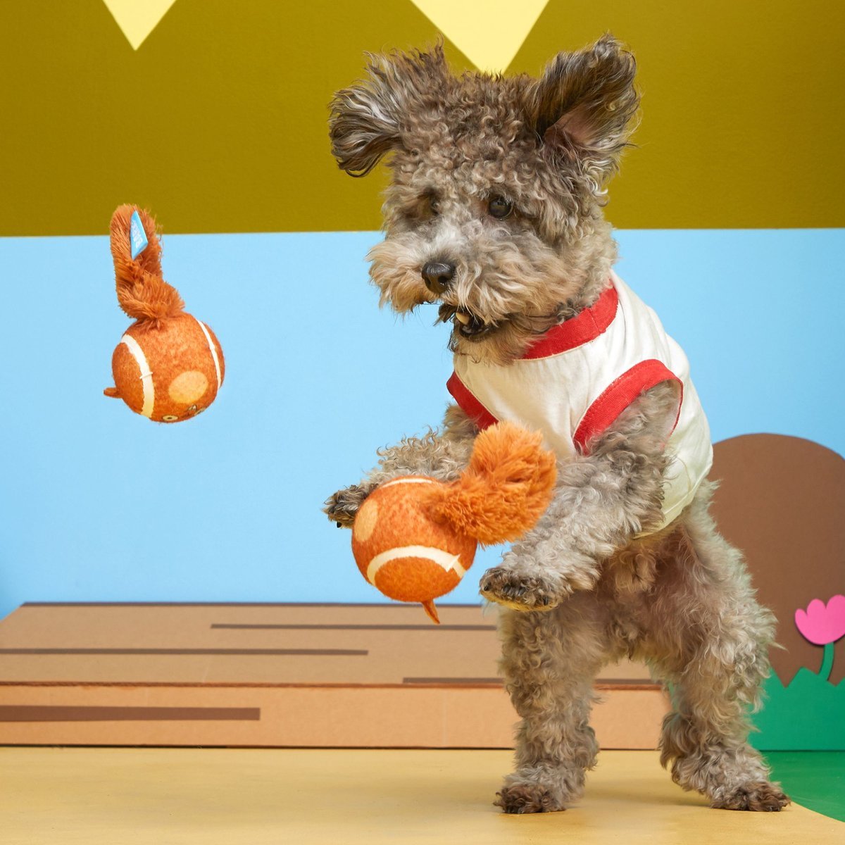 Bark squeak it squirrel dog toy