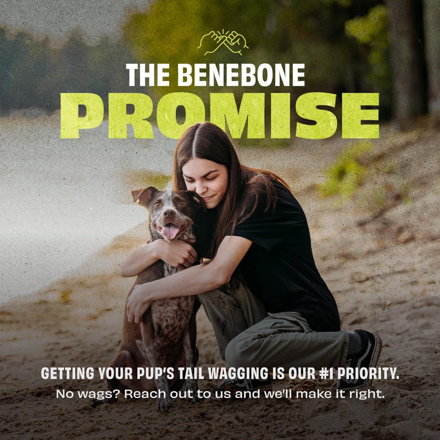 Benebone bounce ball