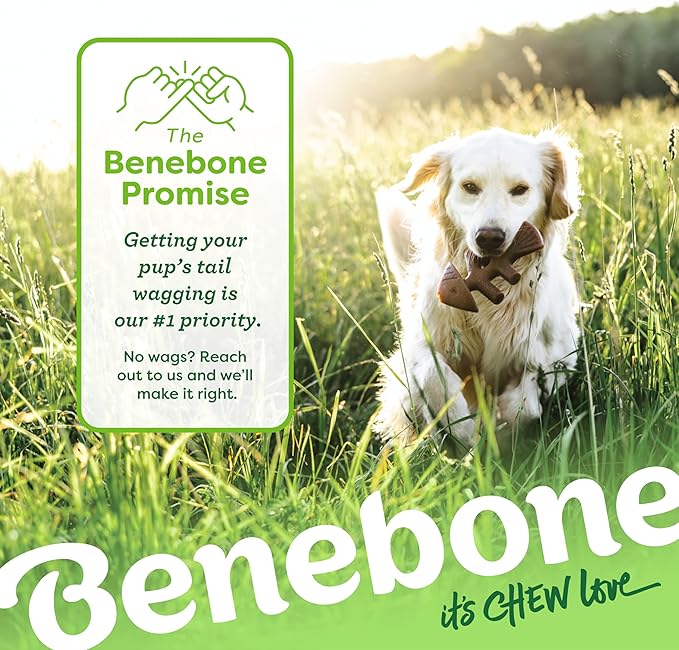 Benebone giant fishbone Jack salmon