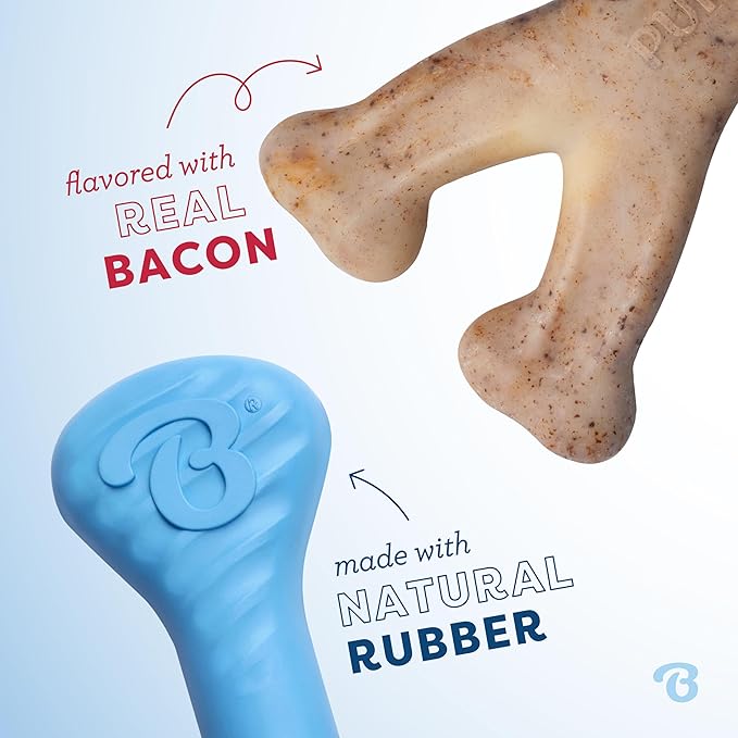 Benebone puppy 2 pack dog bones