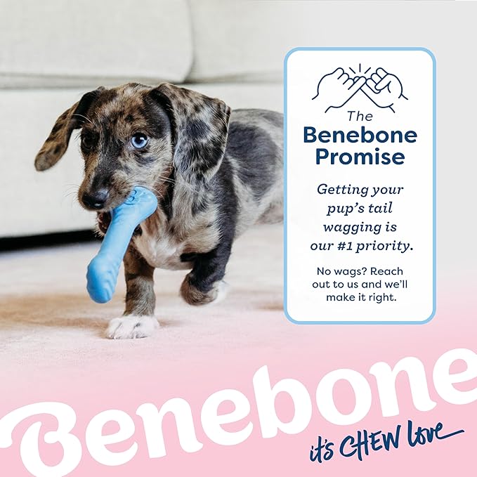 Benebone puppy 2 pack dog bones