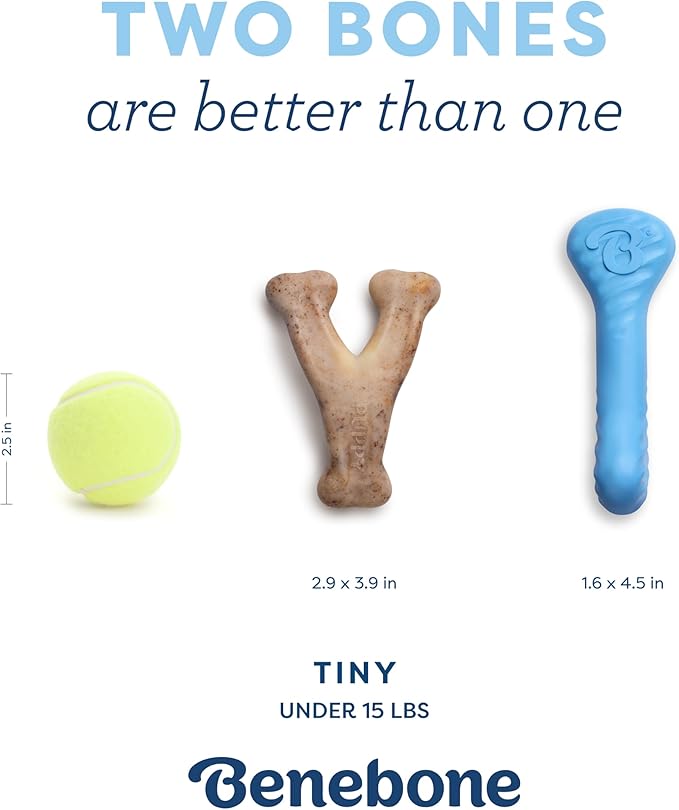 Benebone puppy 2 pack dog bones