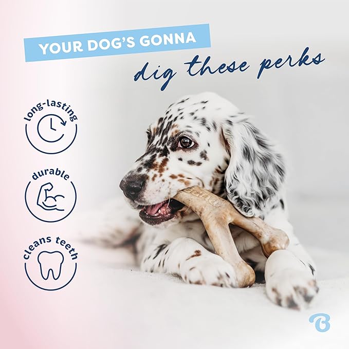 Benebone puppy 2 pack dog bones
