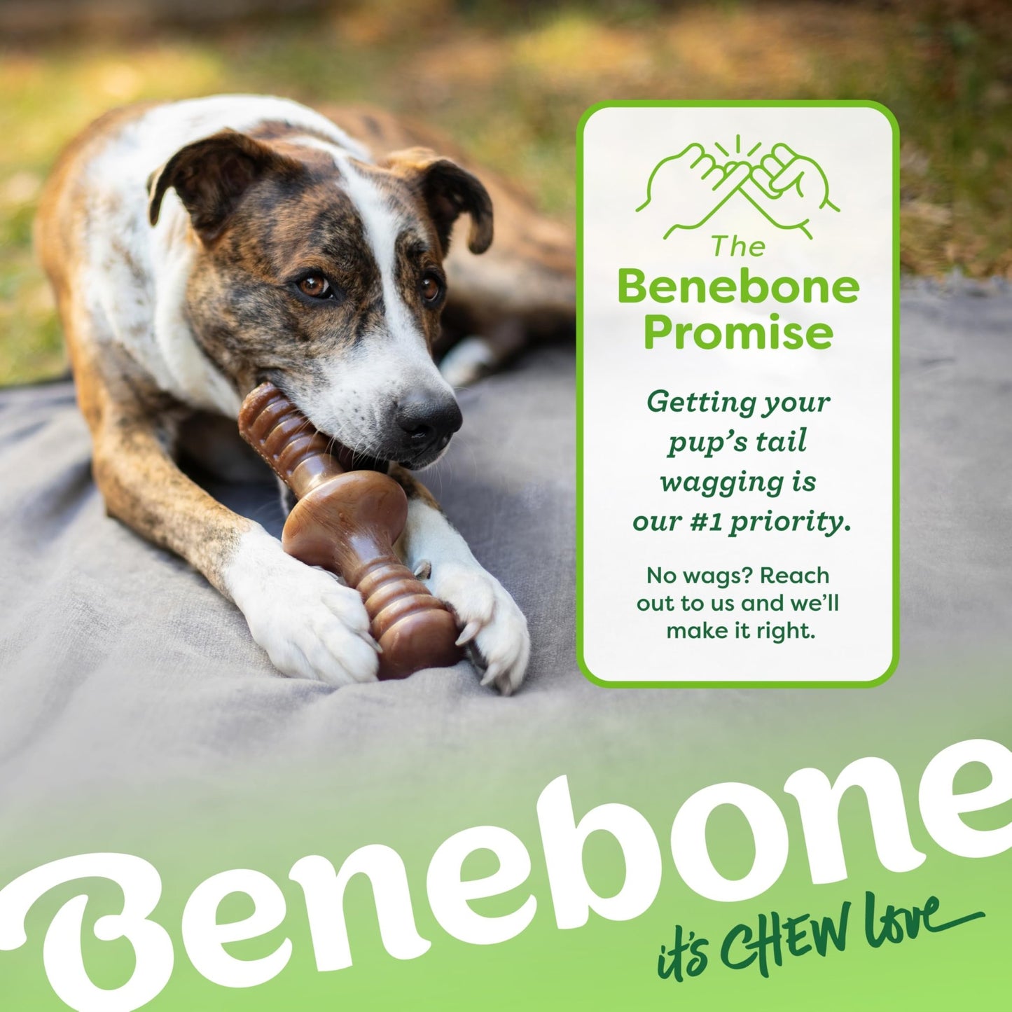 Benebone Zaggler Rolling Dog Chew Toy for Aggressive Chewers, Real Bacon, Made in USA, Large