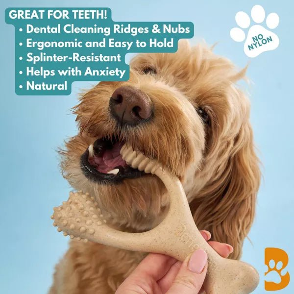 BetterBone Soft Beef Nylon Free Dog Bone Chew Toy