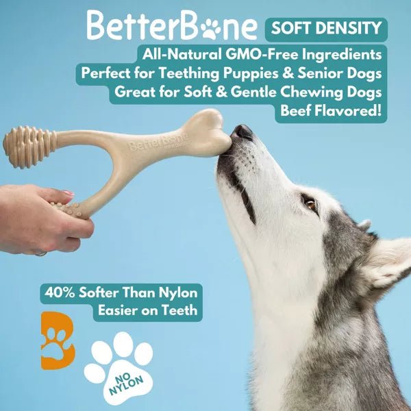 BetterBone Soft Beef Nylon Free Dog Bone Chew Toy