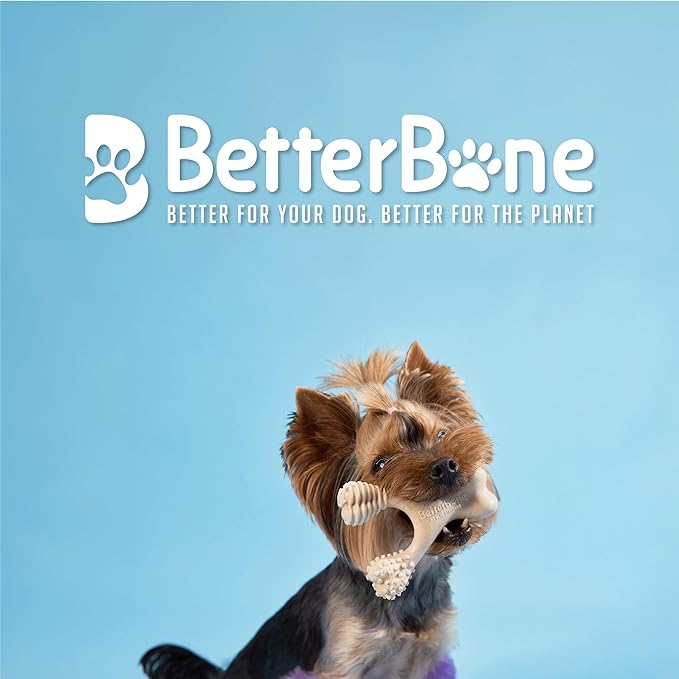 BetterBone Soft Density Classic Flavor Dog Chew Toy, Small